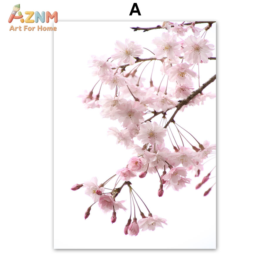 AZNM Pink Cherry Blossom Canva - Photography Quotes review and price