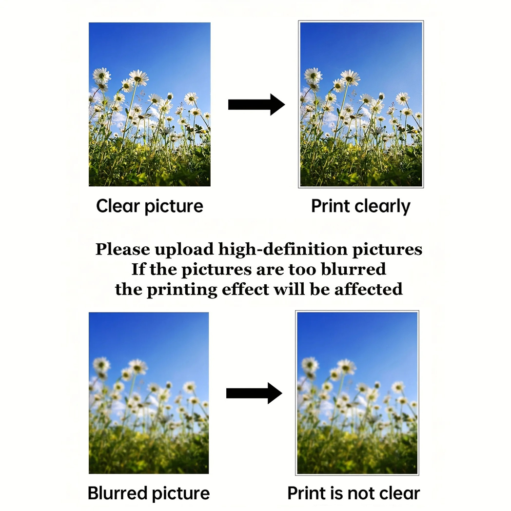 Custom Prints Wall Art Picture - Photography Exhibition review and price